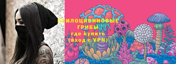 амф Верея