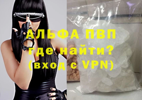 амф Верея