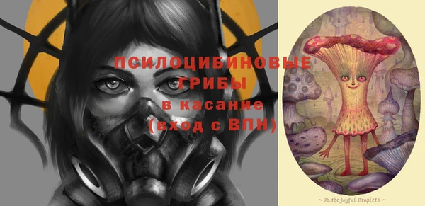 амф Верея