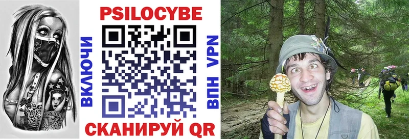Псилоцибиновые грибы мицелий  Городище 